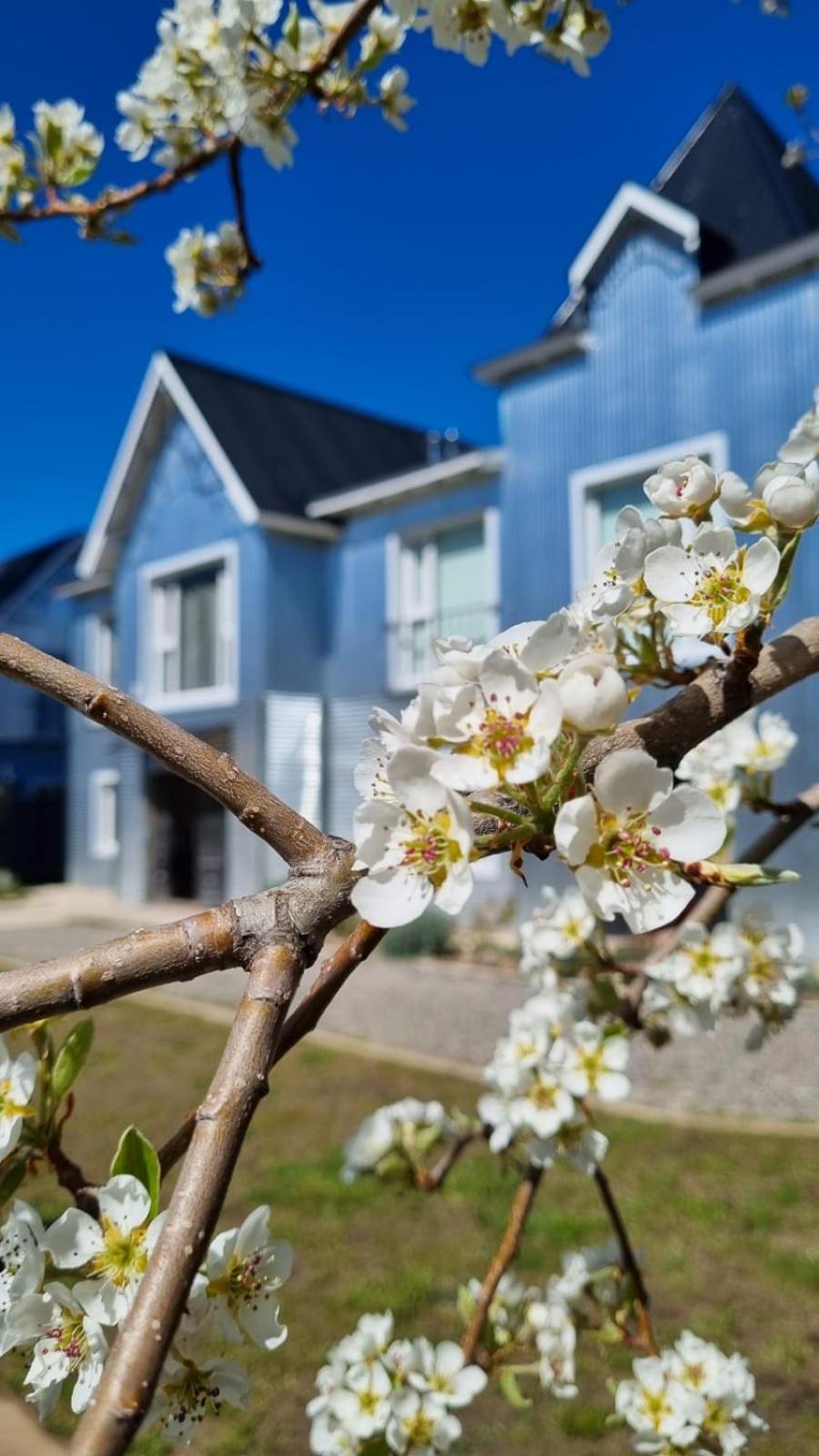 Hol Gok Patagonia Apartment Esquel Ngoại thất bức ảnh